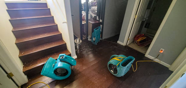 Best Flooded house restoration  in Irwindale, CA