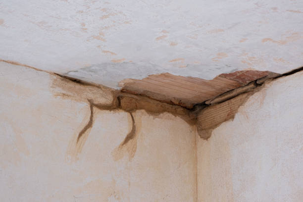 Best Water damage restoration near me  in Irwindale, CA