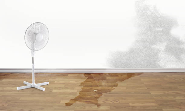 Best Emergency water extraction  in Irwindale, CA