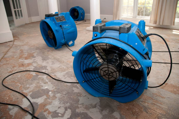 Best Water damage restoration near me  in Irwindale, CA