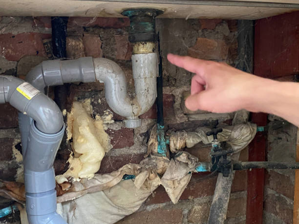 Best Basement water damage restoration  in Irwindale, CA
