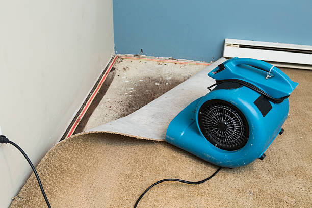  Irwindale, CA Water damage restoration Pros